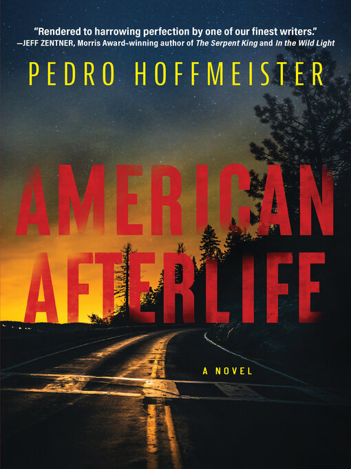 Title details for American Afterlife by Pedro Hoffmeister - Available